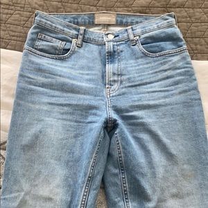 Everlane Cheeky Jean